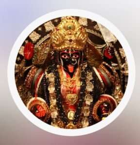 astrologer in fagwara