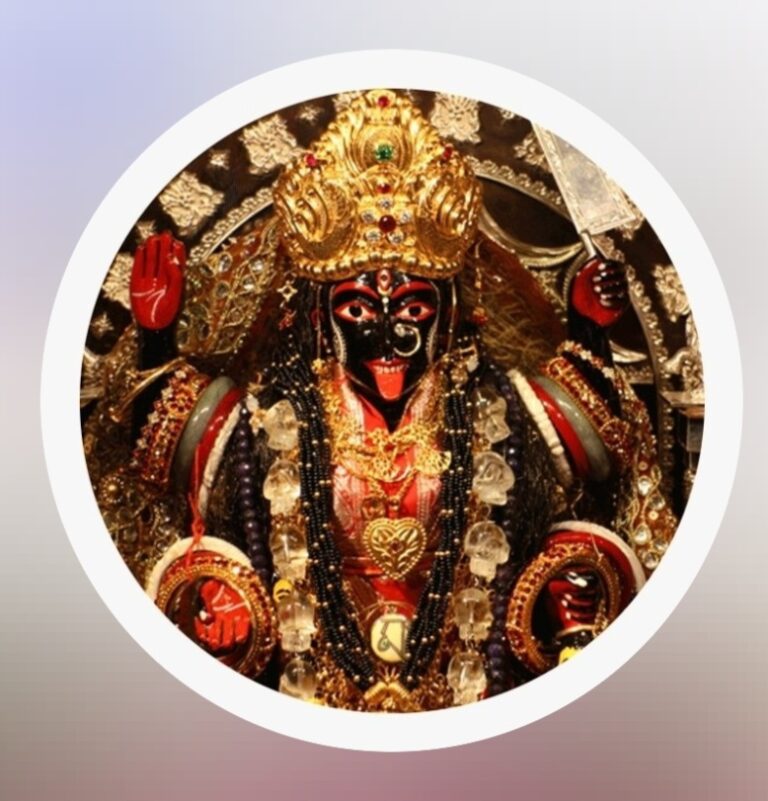 PT. NITIN SHASTRI JI