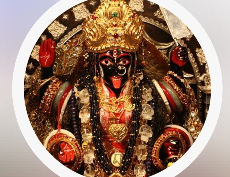 PT. NITIN SHASTRI JI