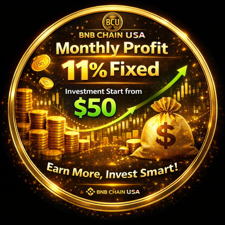 BNB CHAIN USA