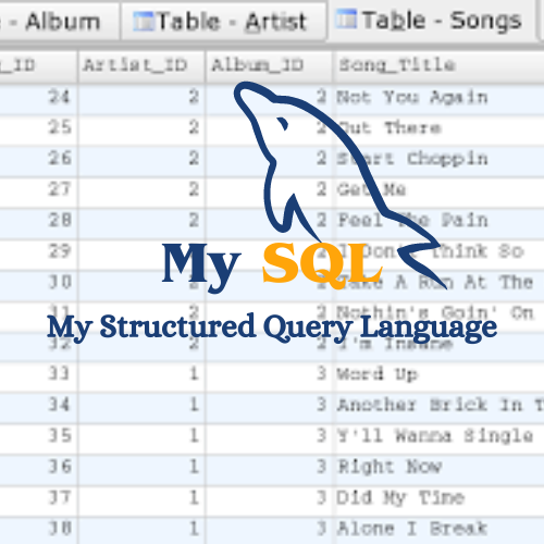 My SQL