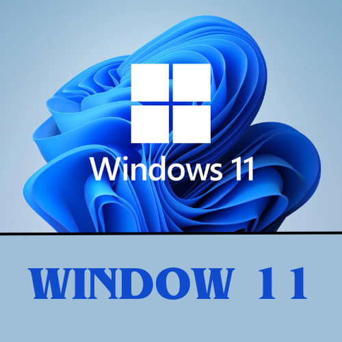 Window 11