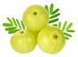 Amla