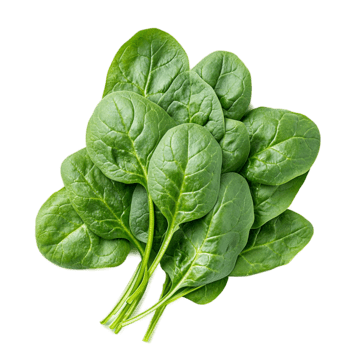 Palak