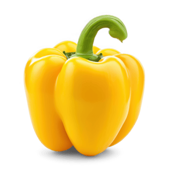 Yellow shimlamirch