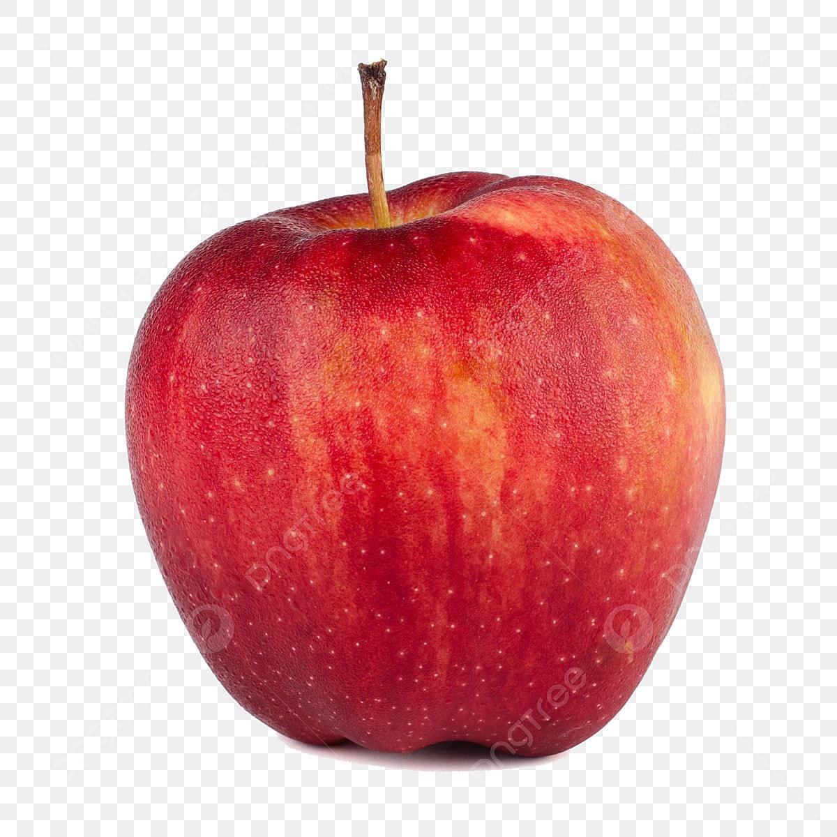 Apple gala