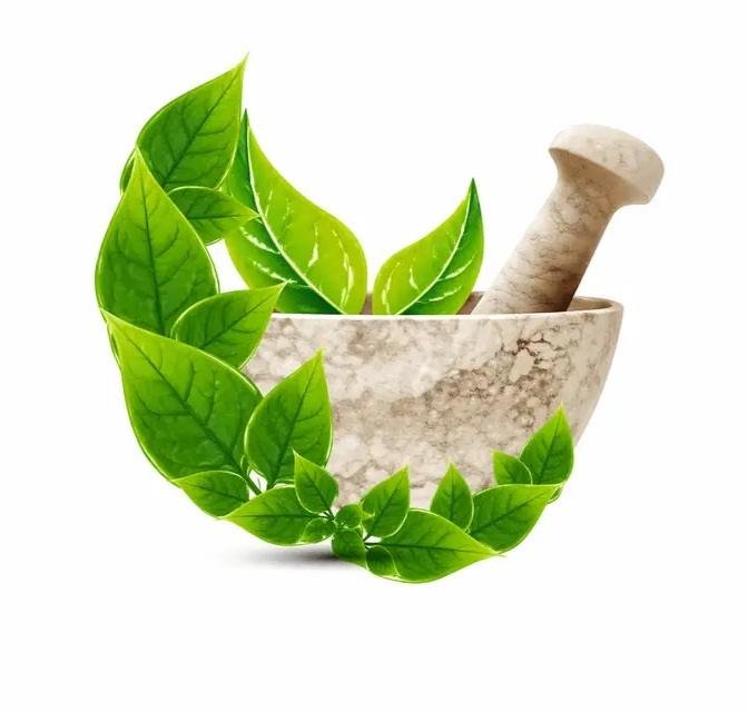 Shree Shyam Traders