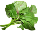 Amaranth Leaves
