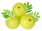 Amla