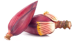 Banana Flower