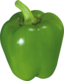 Capsicum