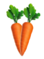 Carrot