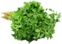 Fenugreek Leaves