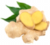 Ginger