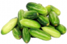 Ivy Gourd